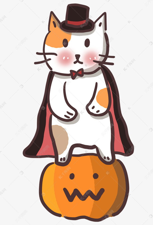 岂能让疼痛孤单:狗狗被咬流脓的应急处理与关爱